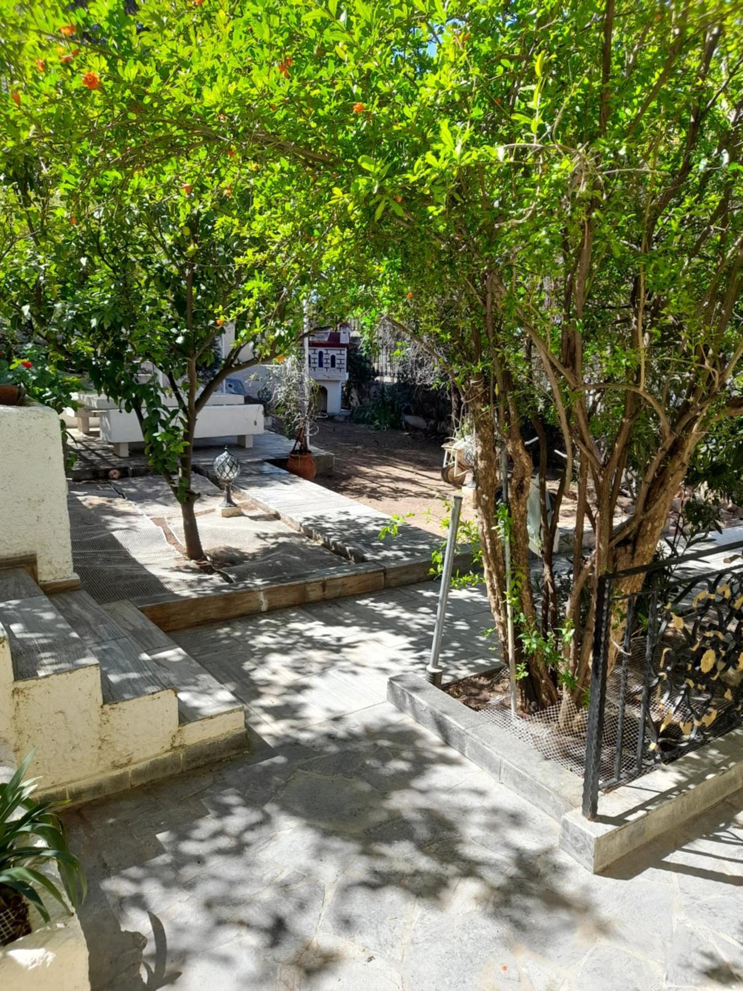 Αίγινα Εξοχική Κατοικία Eginitissa Exteriör bild